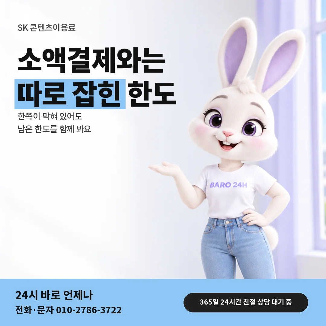 휴대폰을 보며 웃는 BARO 24H 티셔츠를 입은 3D 토끼 캐릭터 옆에 「SK 회선 한도 안내 지도」 제목을 얹은 안내 카드